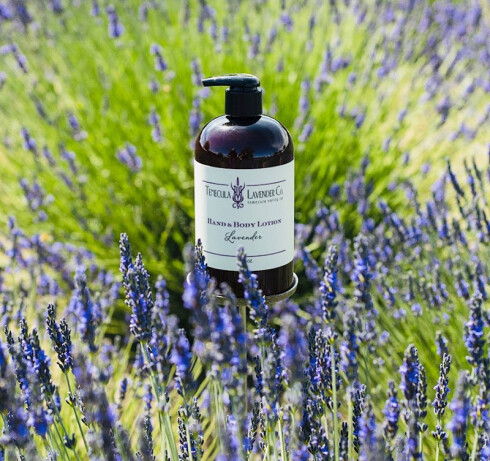 Lavender massage