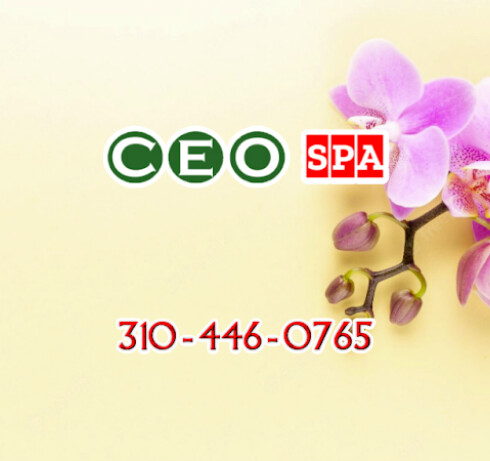 Ceo Spa